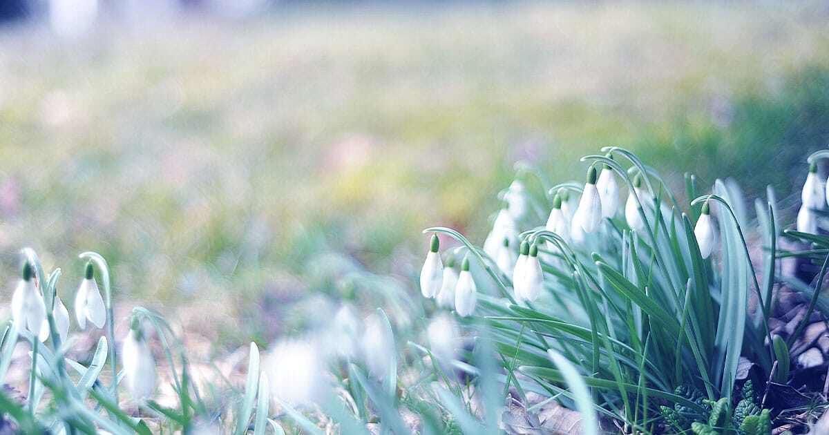 Spring into April